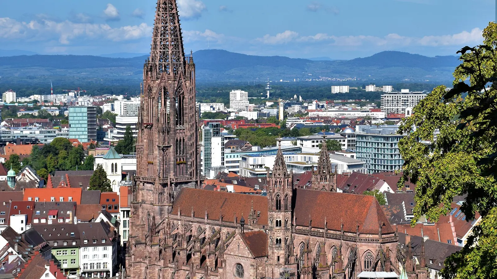 Freiburger Münster in Freiburg im Breisgau